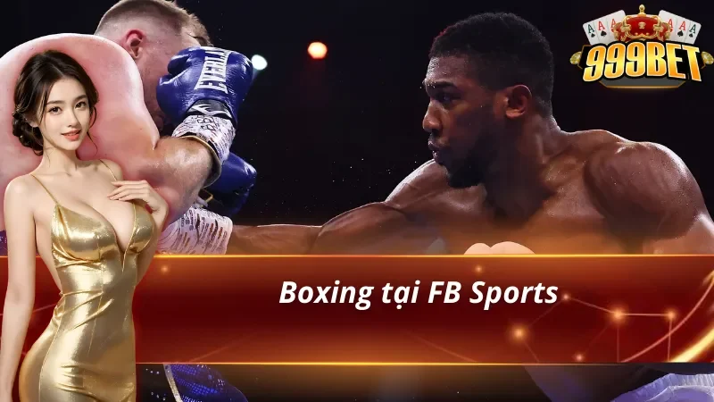 Boxing với tỷ lệ ăn thưởng lớn có tại Fb Sports 